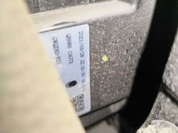 [宁波·浙C] 二手欧拉欧拉黑猫2022款 301km 萌宠版 磷酸铁锂