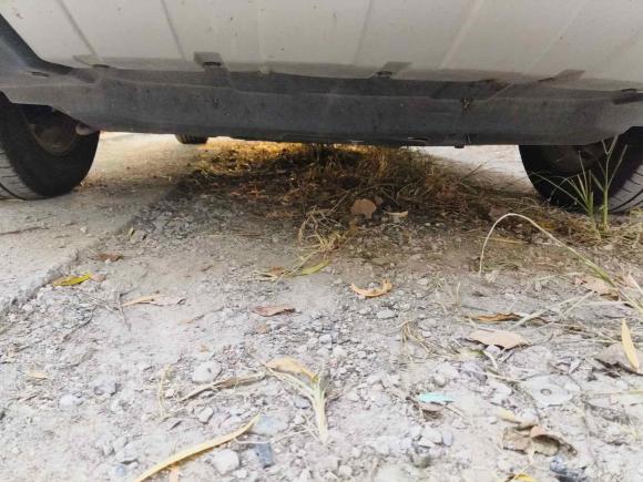 [上海·浙F] 二手哈弗哈弗H62018款 红标 运动版 1.5T 自动两驱精英型