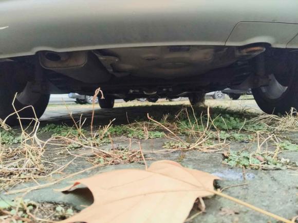 [合肥·皖A] 二手大众Polo2014款 1.6L Cross Polo 自动