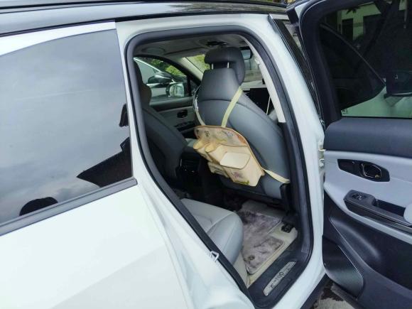 [成都·川A] 二手蔚来蔚来ES62020款 430KM 性能版