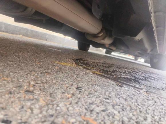 [深圳·粤B] 二手别克别克GL82021款 陆上公务舱 652T 豪华型