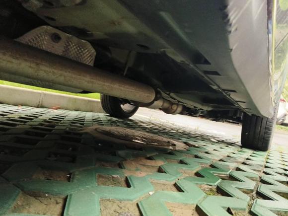 [上海·沪A] 二手荣威荣威RX5新能源2020款 ePLUS 国潮荣麟豪华版