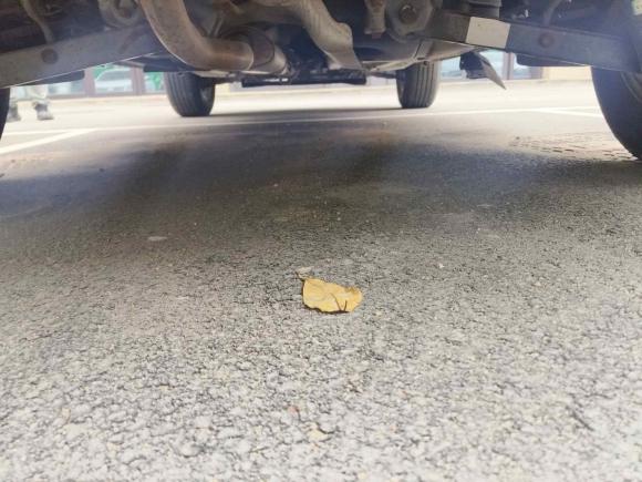 [青岛·鲁B] 二手日产逍客2012款 2.0XL 火 CVT 2WD