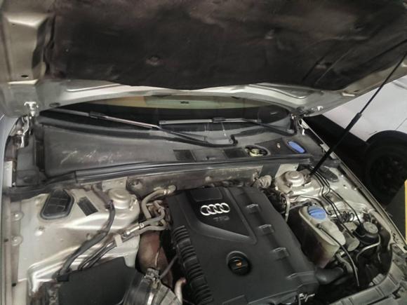 [杭州·浙A] 二手奥迪奥迪A4L2010款 2.0 TFSI 标准型