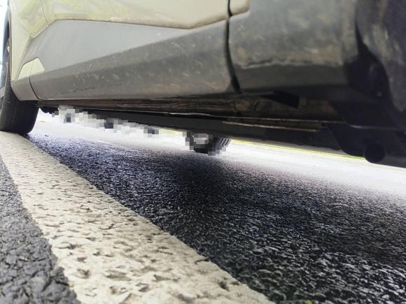 [合肥·皖A] 二手比亚迪海鸥2023款 自由版