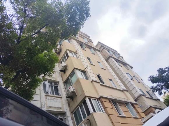 [上海·沪A] 二手比亚迪唐新能源2017款 2.0T 唐100