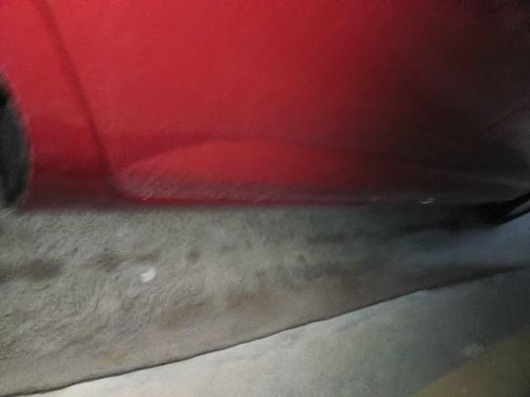 [济南·鲁A] 二手大众Polo2021款 Plus 1.5L 自动炫彩科技版