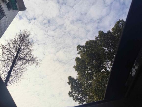 [金华·浙G] 二手奔驰奔驰GLA2015款 GLA 200 时尚型