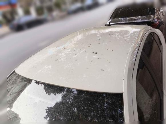 [合肥·皖A] 二手大众朗逸2019款 朗逸启航 1.5L 自动风尚版 国VI