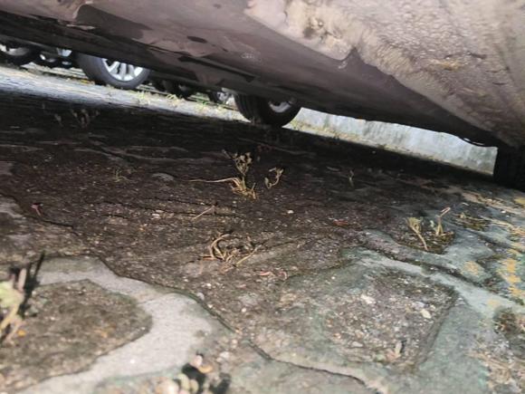 [苏州·苏E] 二手本田思铂睿2009款 2.4L 尊贵导航版