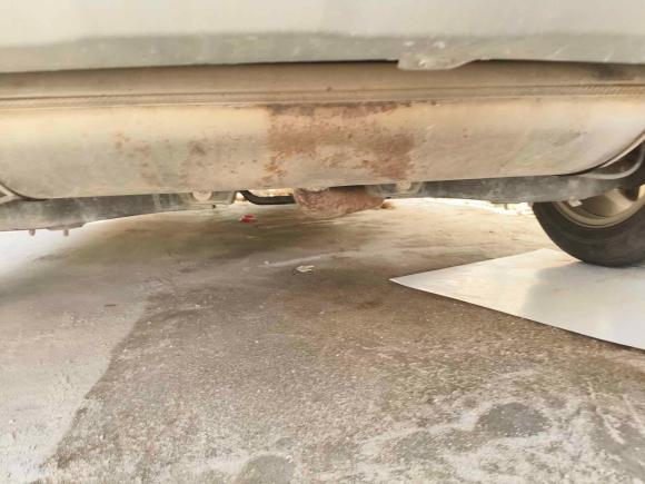 [上海·皖B] 二手荣威荣威RX52018款 20T 两驱自动互联网智惠版