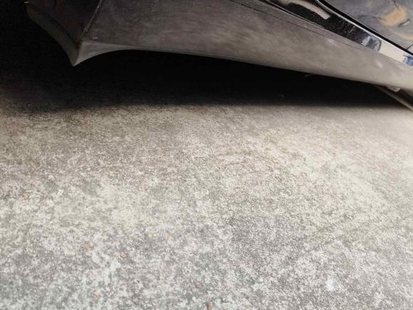 [广州·粤A] 二手特斯拉Model 32023款 后轮驱动版