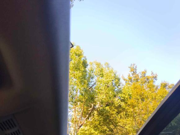 [上海·沪D] 二手宝马宝马2系旅行车2016款 218i 时尚型