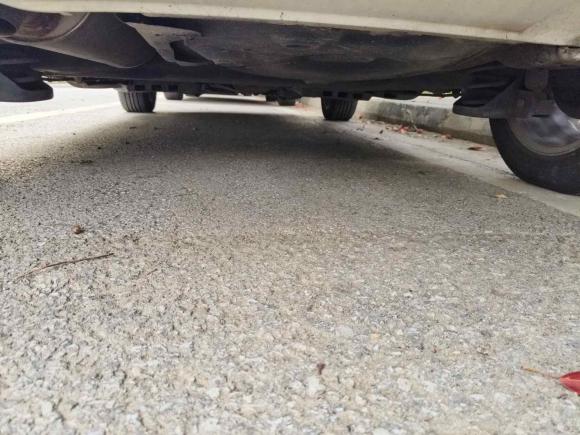 [苏州·苏E] 二手大众Polo2016款 1.6L 自动舒适型