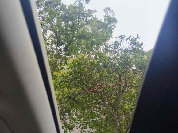 [西安·陕A] 二手斯柯达明锐2015款 1.6L 自动逸俊版