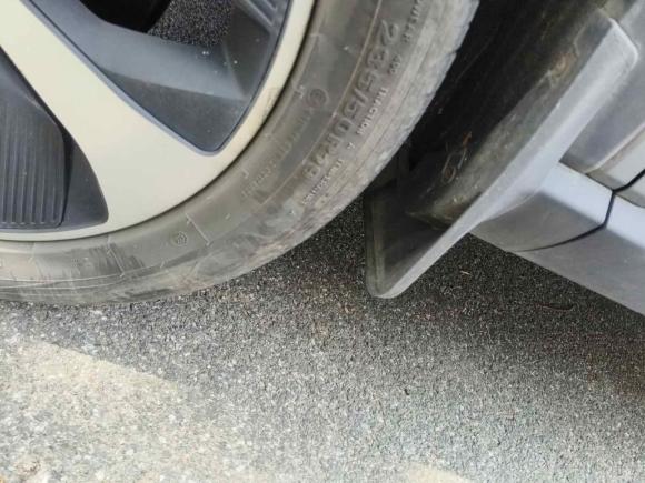 [上海·沪A] 二手比亚迪宋PLUS新能源2021款 EV 尊贵型