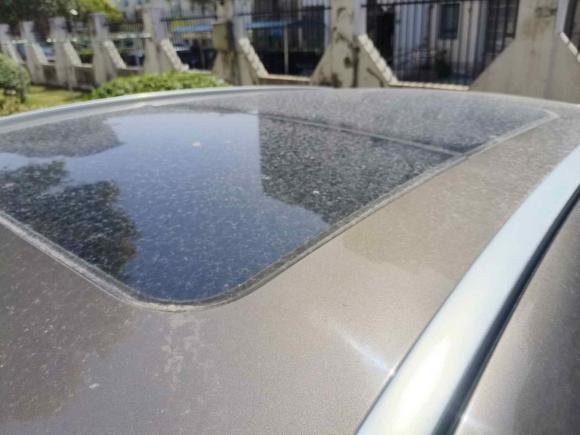 [上海·苏F] 二手观致观致52017款 1.6T 手动领先型