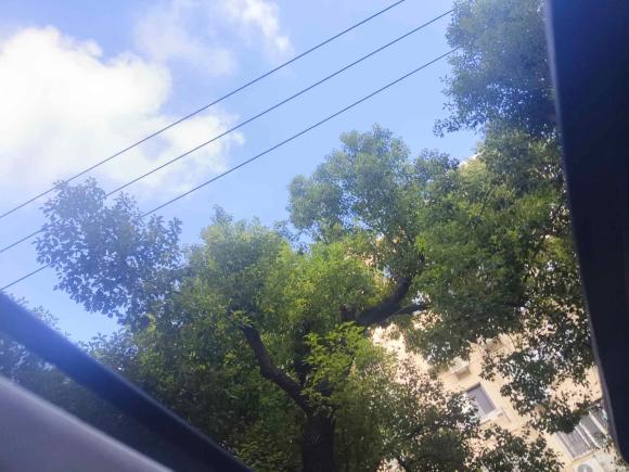 [上海·沪A] 二手威马汽车威马EX52019款 EX5 Mate威盟版400