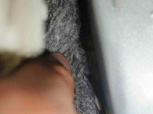 [广州·粤A] 二手丰田皇冠2007款 2.5L Royal 导航版