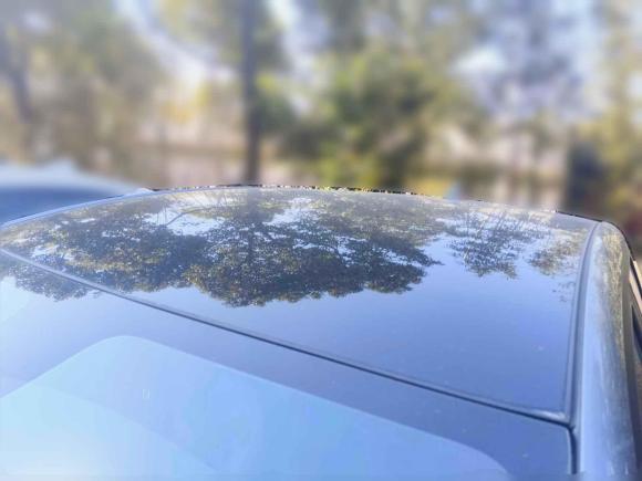 [上海·沪A] 二手比亚迪海豚2021款 405km 时尚版