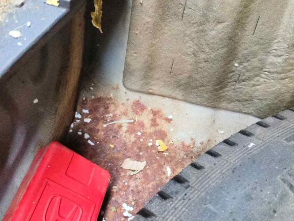 [温州·皖L] 二手本田思域2014款 1.8L 手动舒适版