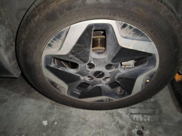 [温州·浙C] 二手比亚迪海豚2021款 405km 时尚版