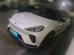 [南京·苏A] ARCFOX极狐极狐 阿尔法T2021款 653S+ 160kW