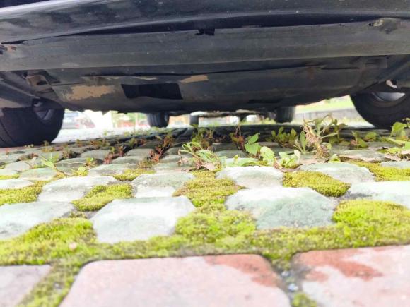 [南昌·赣A] 二手日产天籁2018款 2.0L XL 智进版