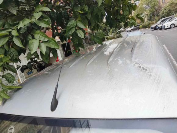 [金华·浙G] 二手五菱汽车五菱之光小卡2020款 1.2L 双排