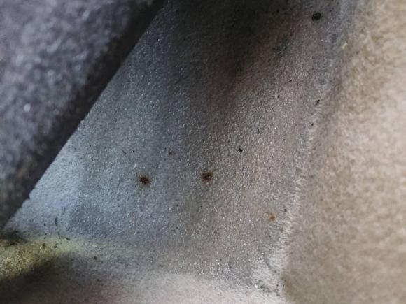 [义乌·浙G] 二手丰田花冠2013款 1.6L 自动卓越版