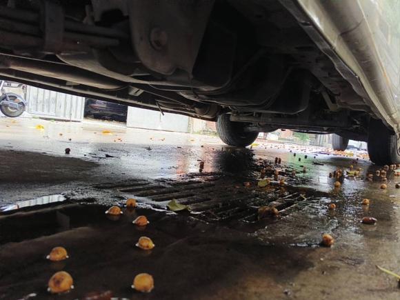 [佛山·粤E] 二手长安凯程长安睿行M902017款 2.0L超值版6座掀背门4G94S