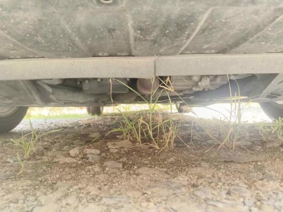 [南京·苏A] 二手别克君威2017款 20T 精英型