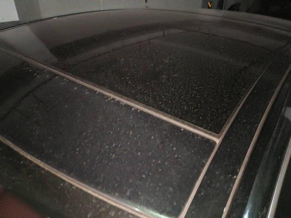 [嘉兴·浙F] 二手捷豹捷豹XFL2023款 XFL 2.0T P250 两驱精英运动版