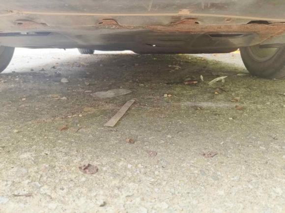 [广州·粤A] 二手大众宝来2014款 1.6L 自动舒适型