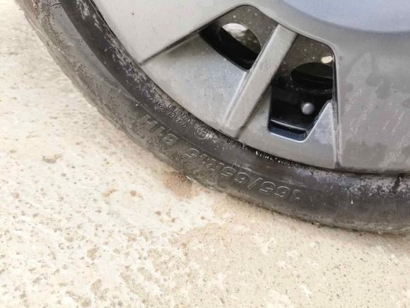 [上海·沪B] 二手比亚迪海鸥2025款 305km 活力版