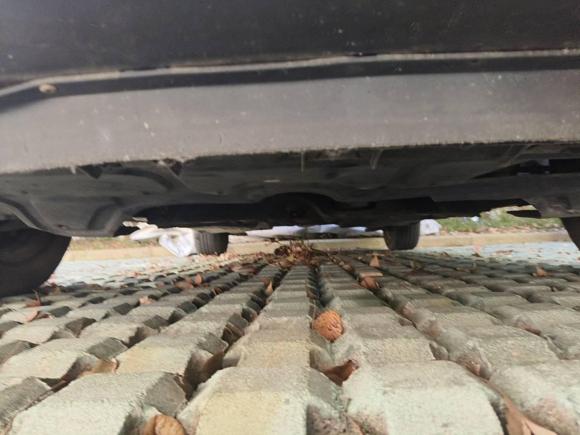 [嘉兴·浙F] 二手大众Polo2014款 1.4L 手动风尚版