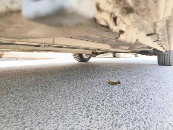 [温州·皖L] 二手本田思域2014款 1.8L 手动舒适版