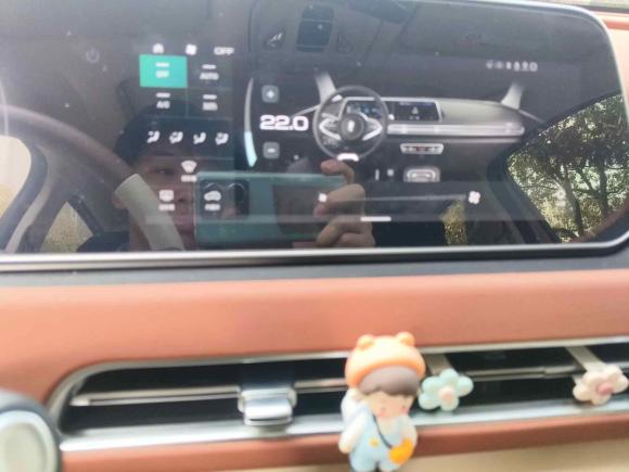 [上海·沪A] 二手欧拉欧拉好猫2023款 401km标准续航 尊荣型 磷酸铁锂