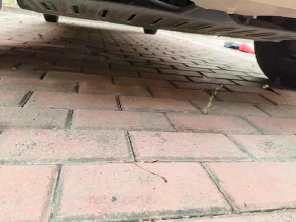 [嘉兴·浙F] 二手五菱汽车五菱宏光V2021款 1.5L劲取版LAR