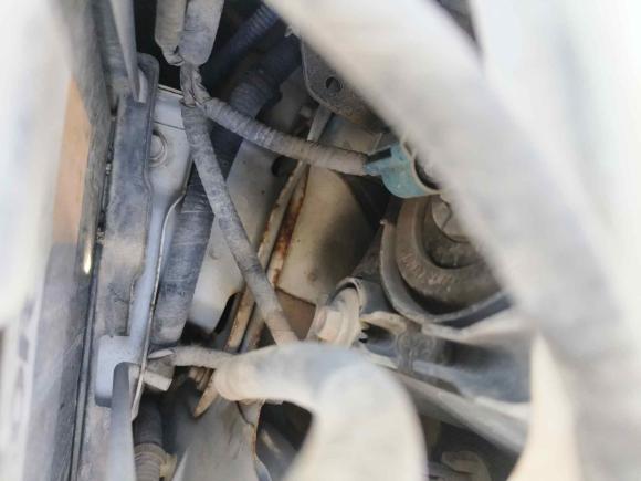 [温州·皖L] 二手本田思域2014款 1.8L 手动舒适版