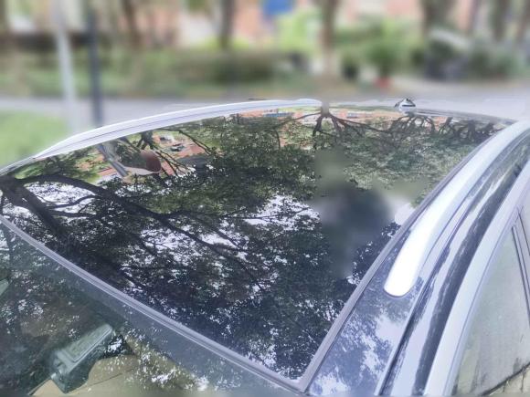 [上海·沪A] 二手大众ID.4 X2021款 Pro 极智长续航版