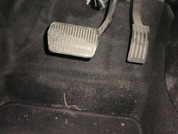 [宁波·浙B] 二手福特福克斯2018款 两厢经典 1.6L 自动风尚型智行版