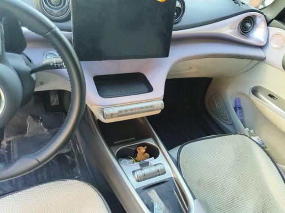 [青岛·鲁B] 二手比亚迪海豚2021款 405km 时尚版