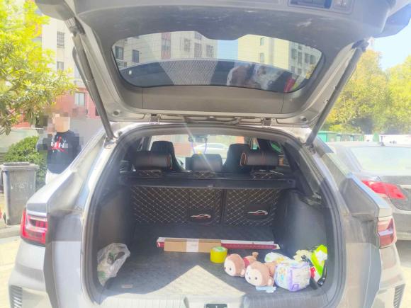 [常州·苏D] 二手比亚迪宋PLUS新能源2021款 DM-i 51KM 尊荣型