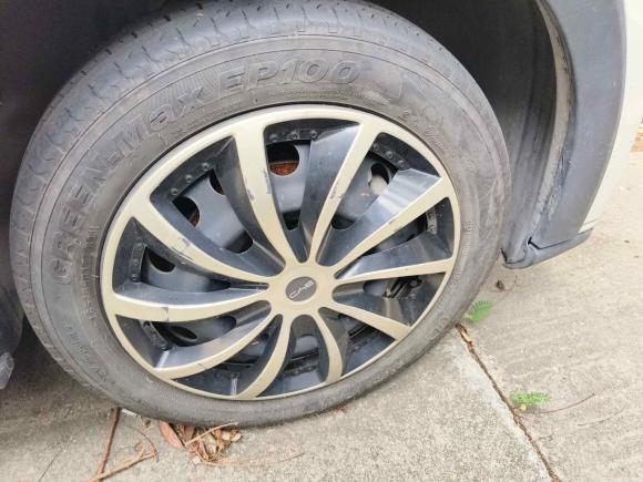 [深圳·粤L] 二手比亚迪海鸥2023款 活力版