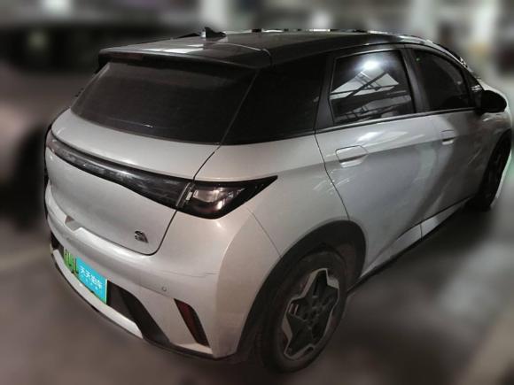 [温州·浙C] 二手比亚迪海豚2021款 405km 时尚版