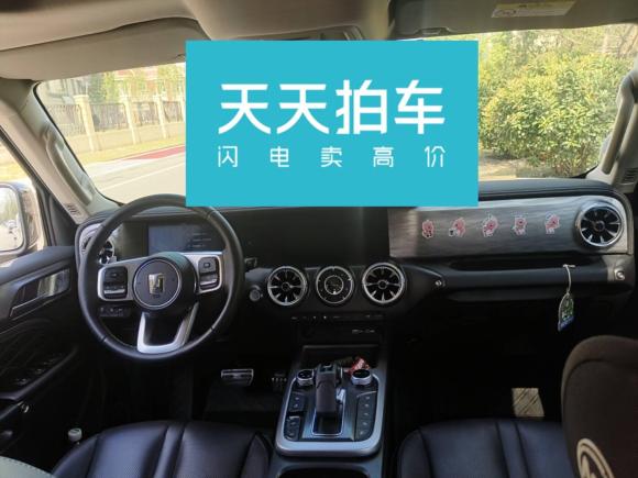 [青岛·鲁U] 二手坦克坦克3002023款 城市版 2.0T 很有型