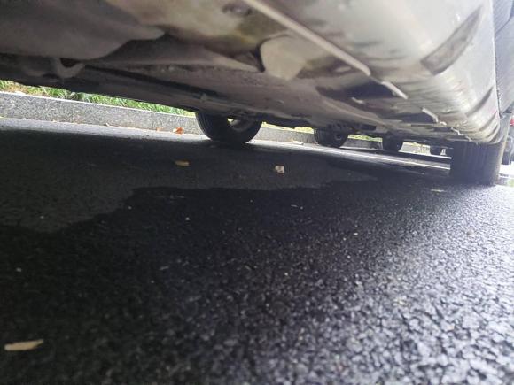 [杭州·浙A] 二手日产骊威2013款 劲锐 1.6XL CVT舒适版