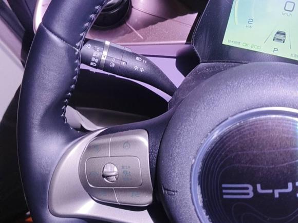 [杭州·浙A] 二手比亚迪海豚2021款 401km 骑士版