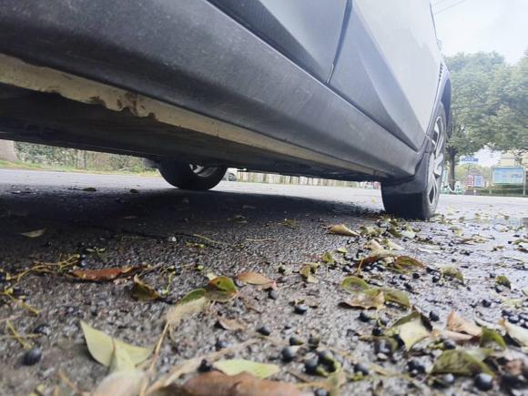 [上海·鄂L] 二手纳智捷U5 SUV2017款 1.6L CVT爵士版